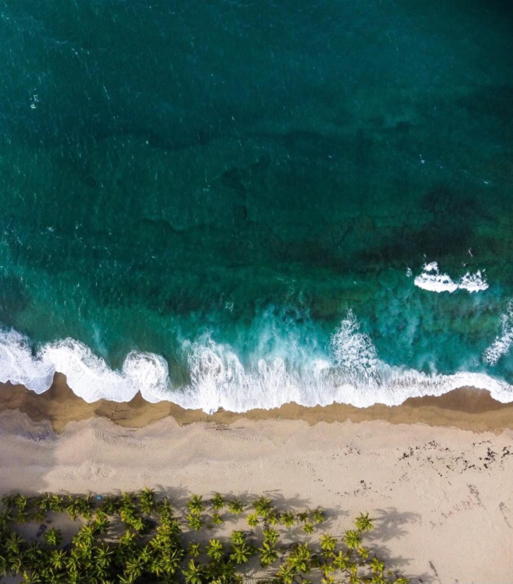 Beachfront Paradise Manuel Antonio Εξωτερικό φωτογραφία