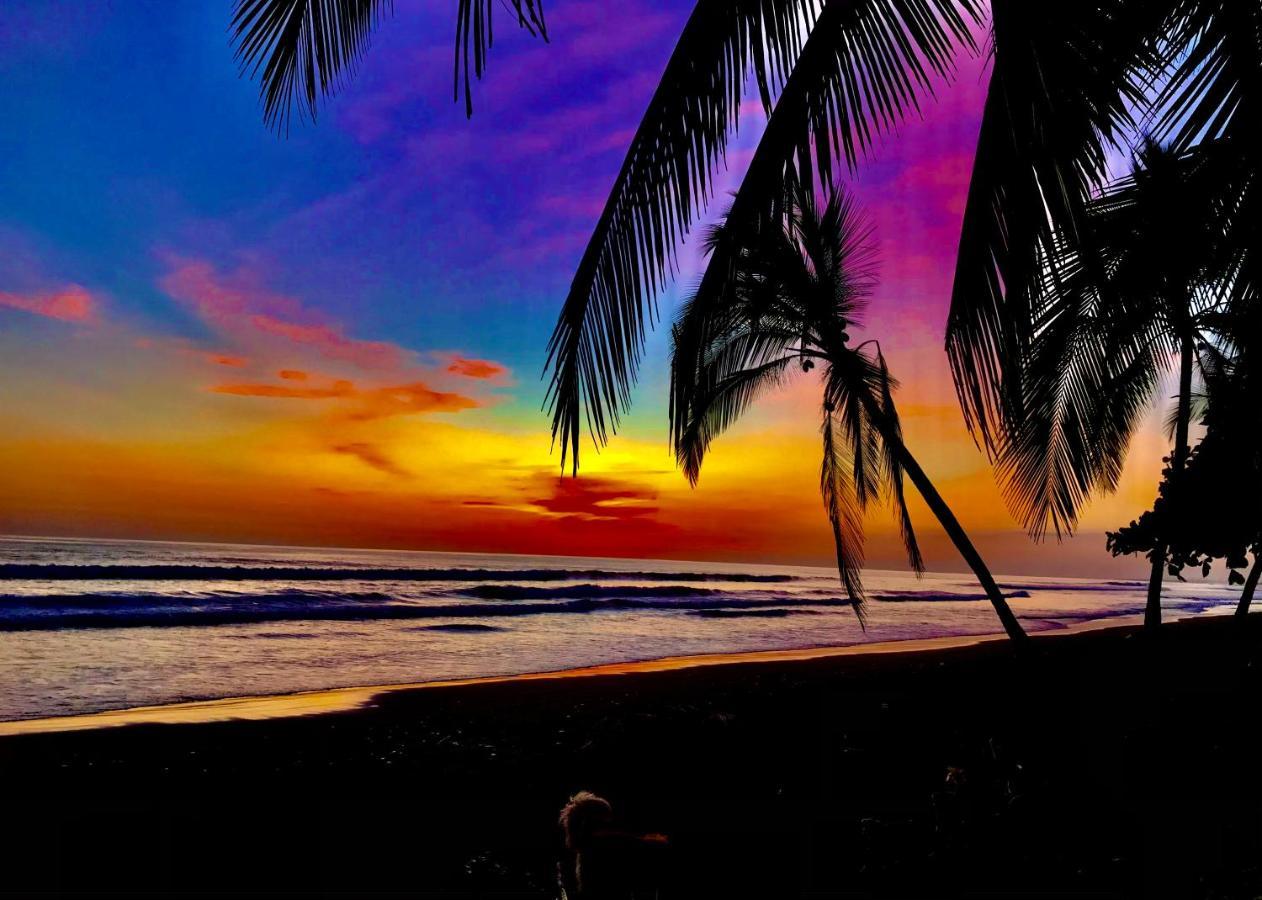 Beachfront Paradise Manuel Antonio Εξωτερικό φωτογραφία