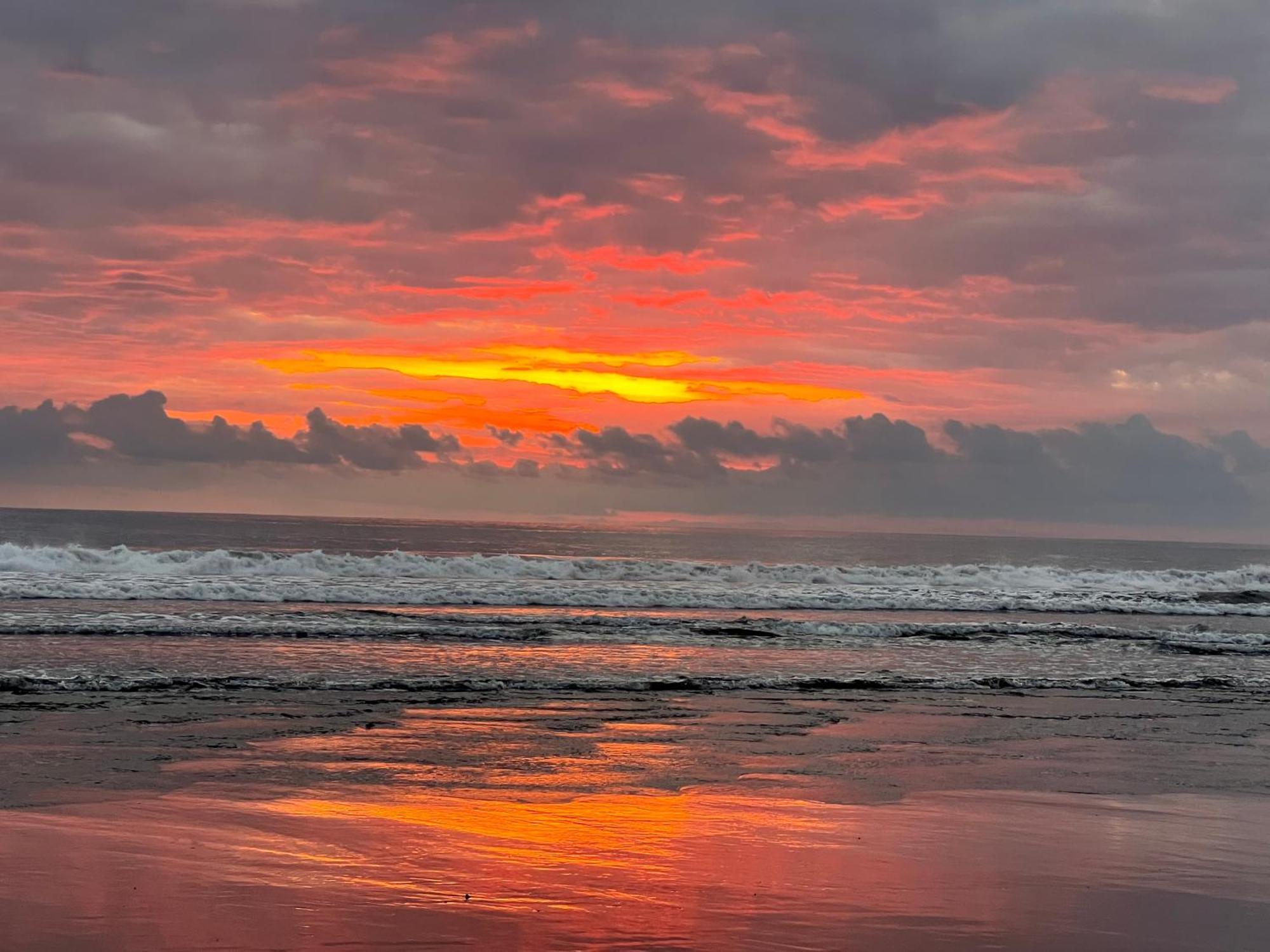 Beachfront Paradise Manuel Antonio Εξωτερικό φωτογραφία