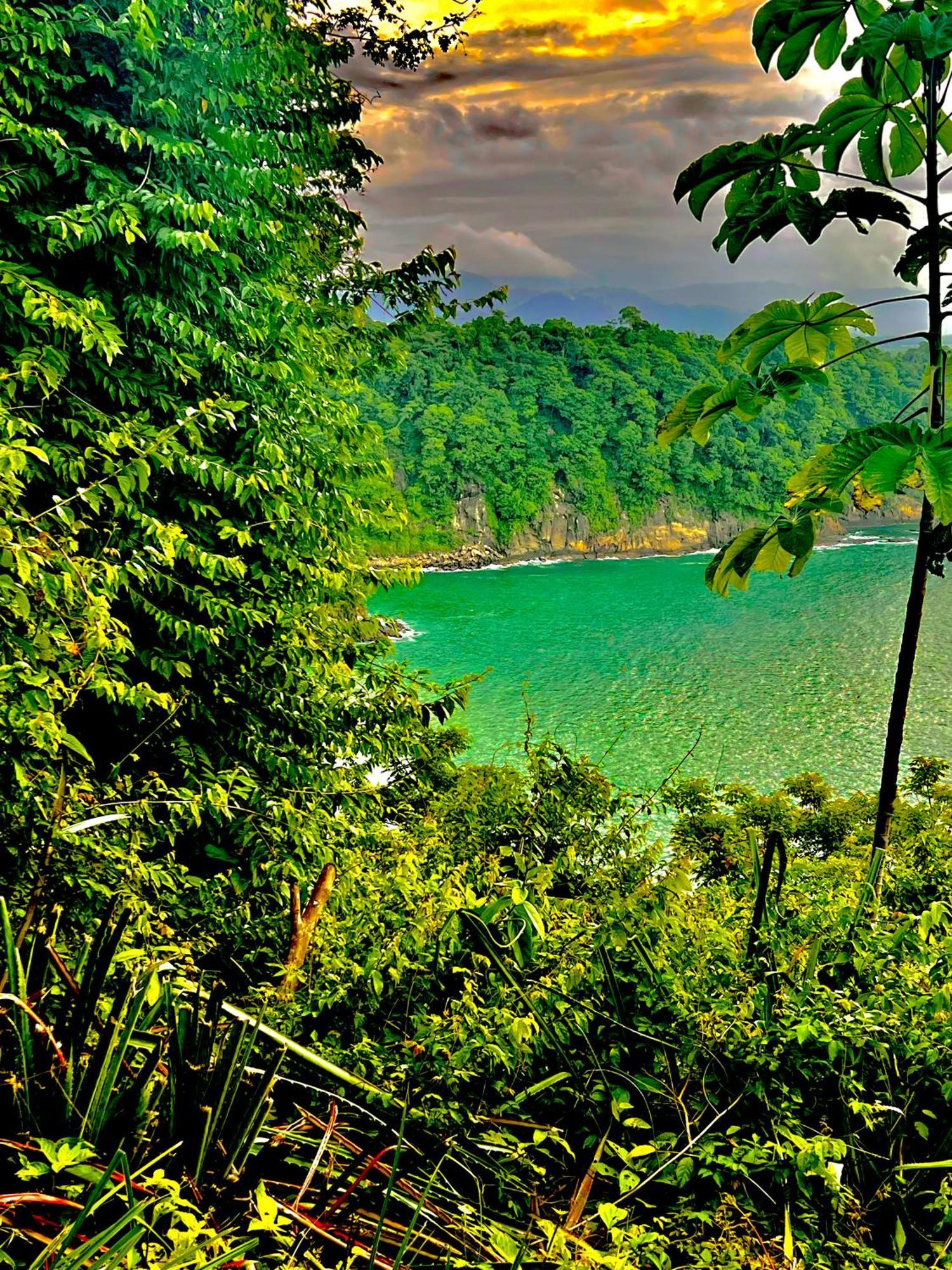 Beachfront Paradise Manuel Antonio Εξωτερικό φωτογραφία