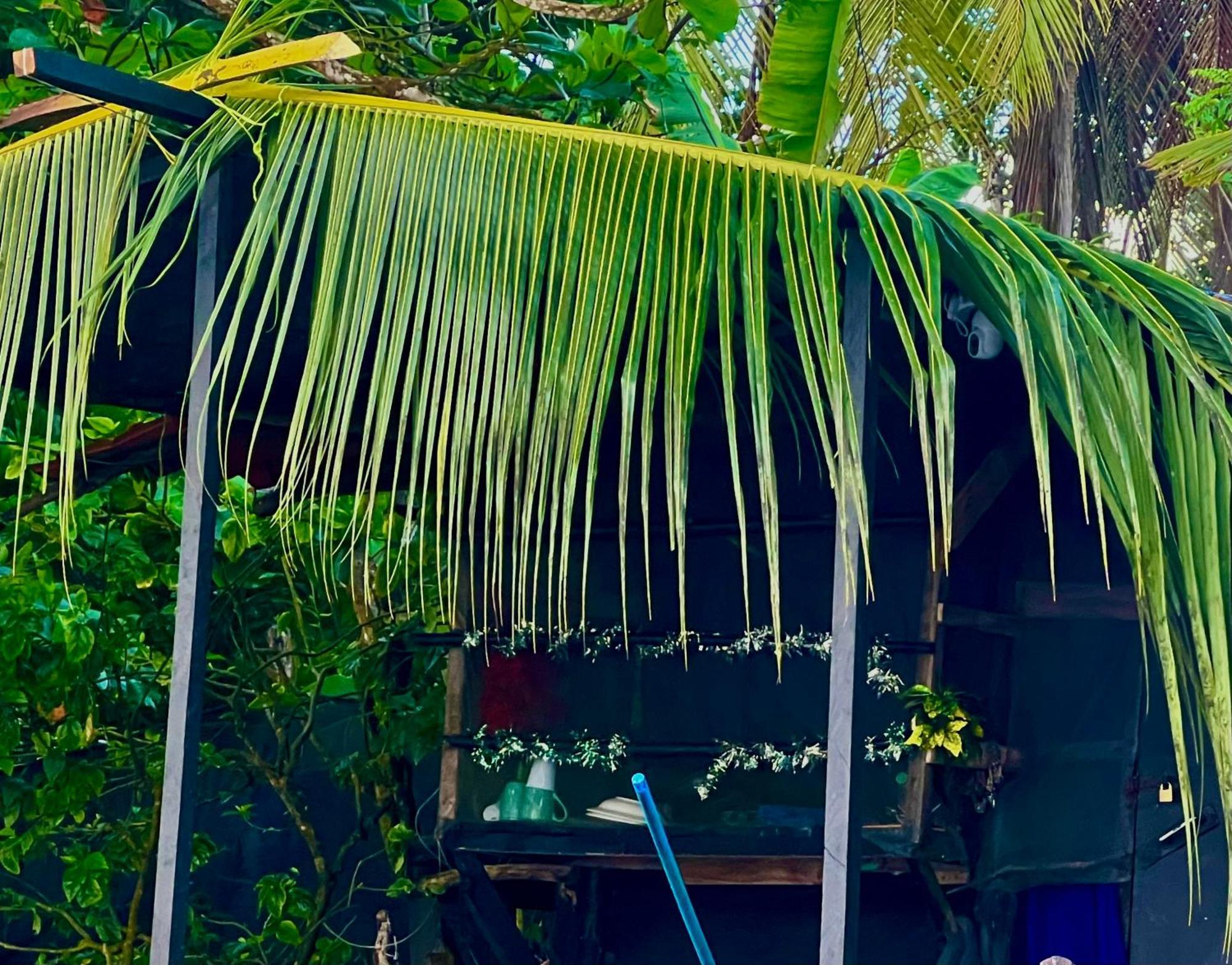 Beachfront Paradise Manuel Antonio Εξωτερικό φωτογραφία
