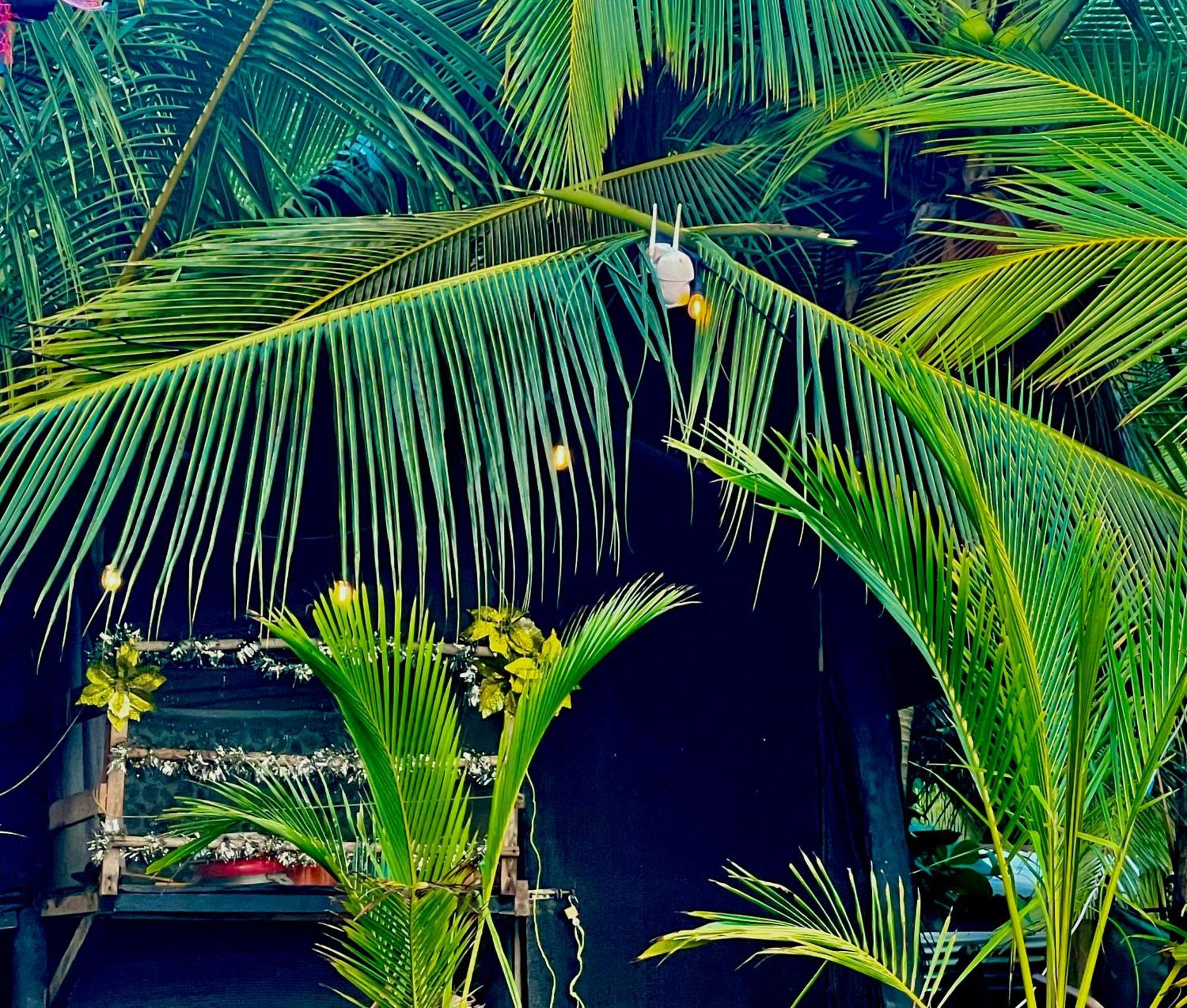 Beachfront Paradise Manuel Antonio Εξωτερικό φωτογραφία