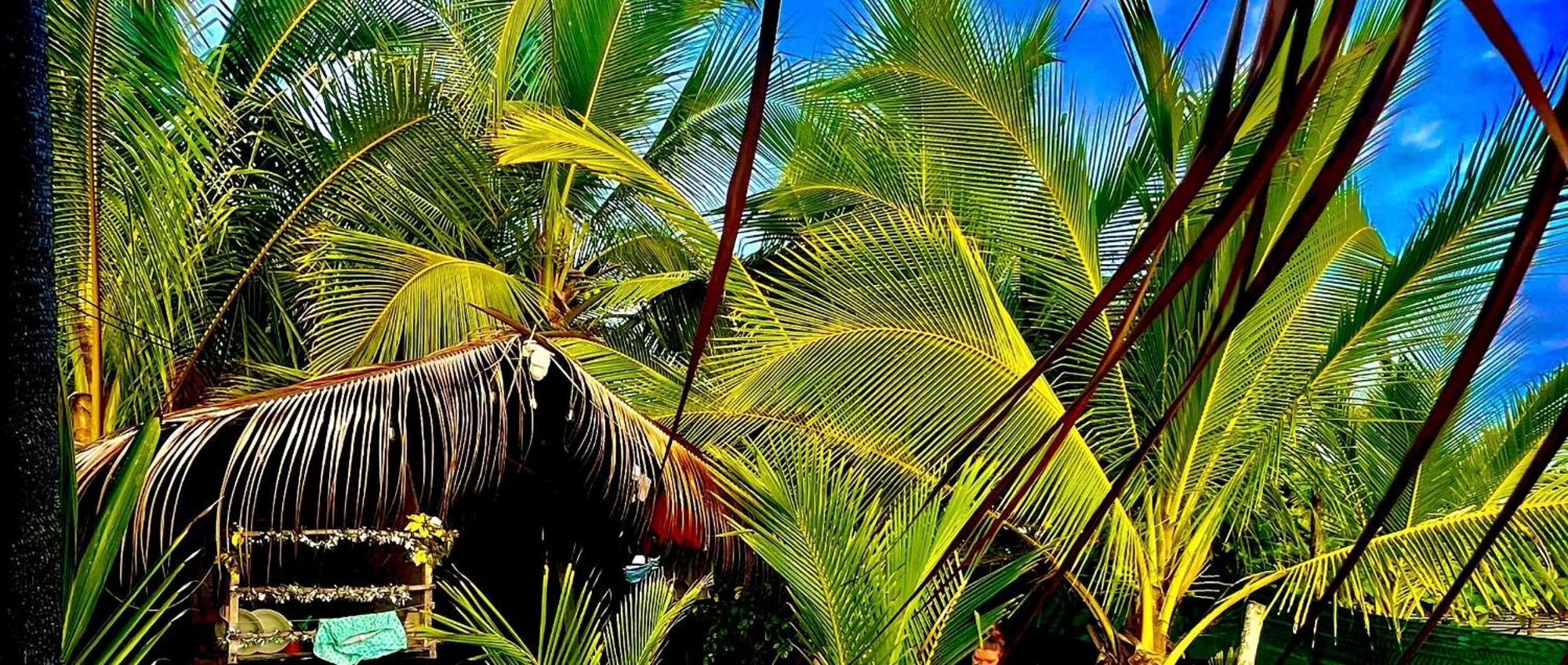 Beachfront Paradise Manuel Antonio Εξωτερικό φωτογραφία