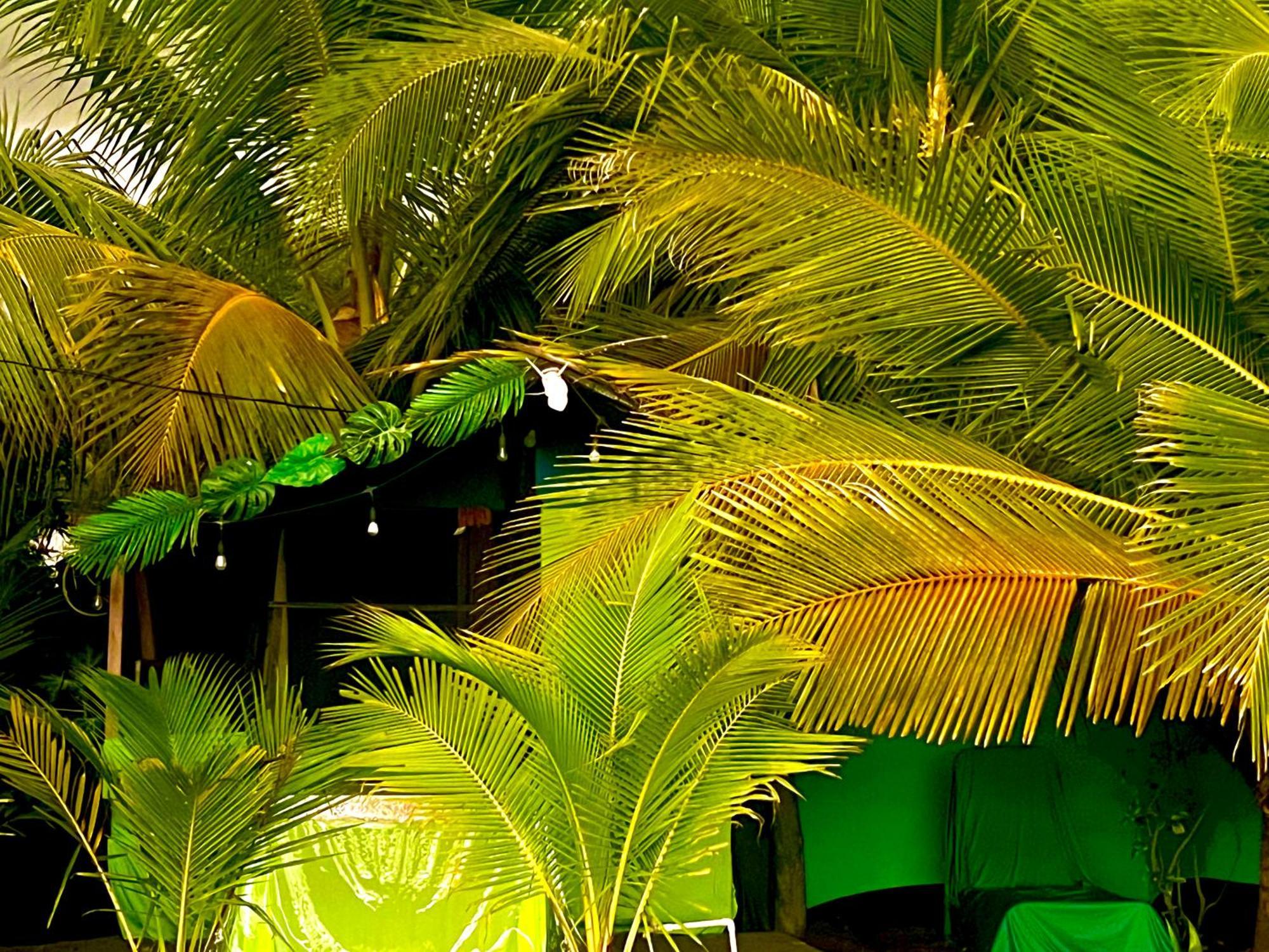 Beachfront Paradise Manuel Antonio Εξωτερικό φωτογραφία