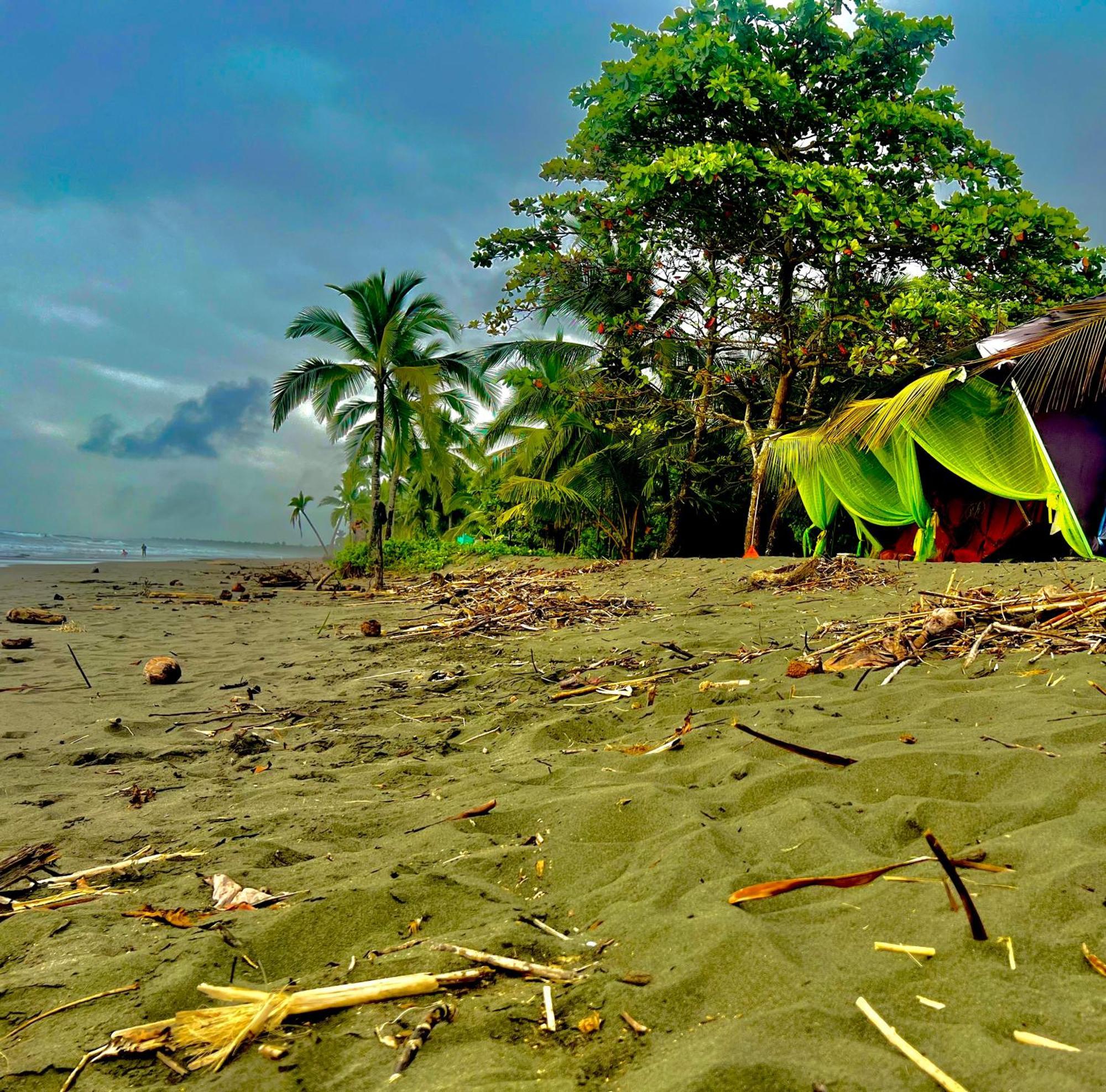 Beachfront Paradise Manuel Antonio Εξωτερικό φωτογραφία