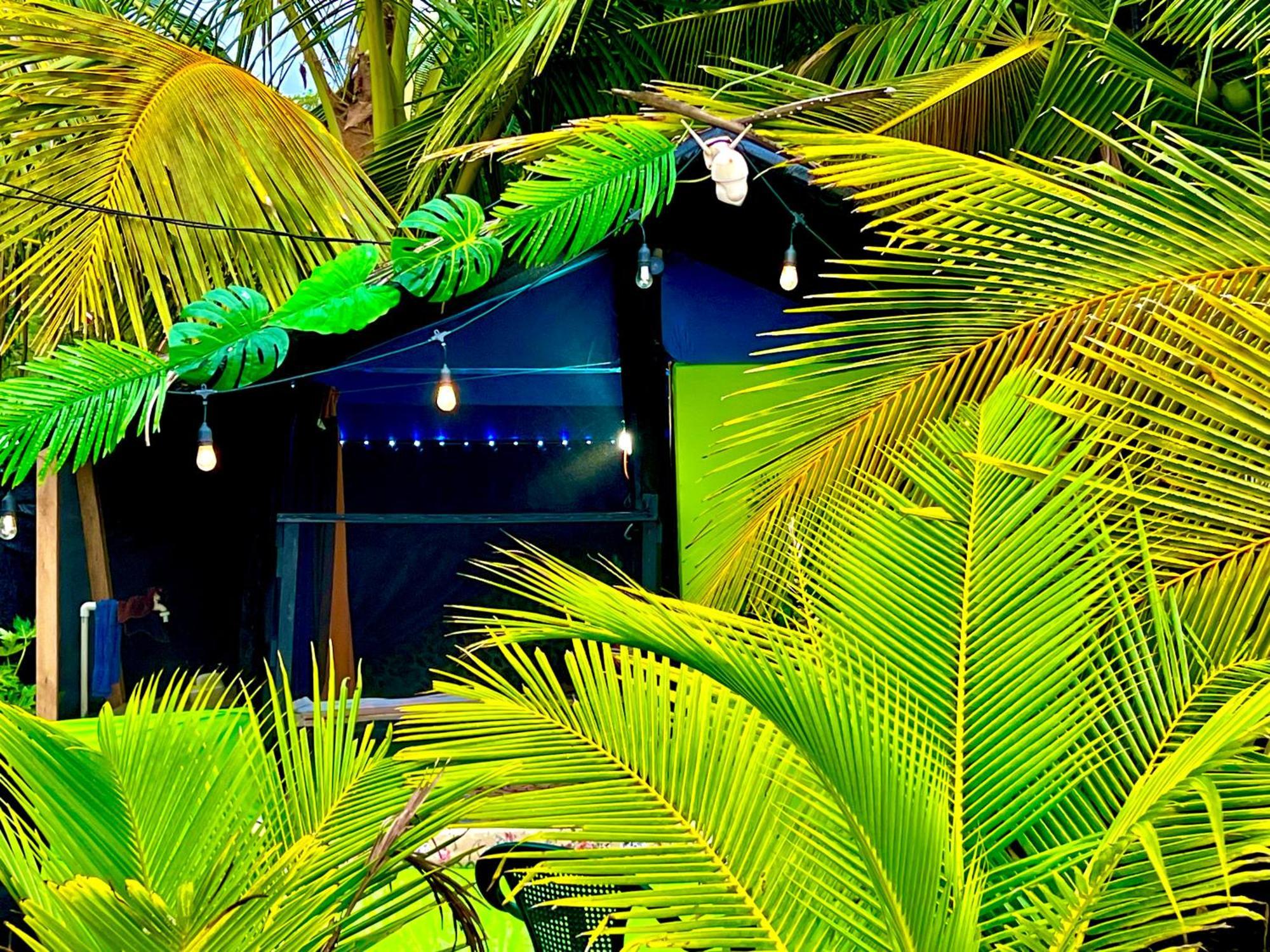 Beachfront Paradise Manuel Antonio Εξωτερικό φωτογραφία